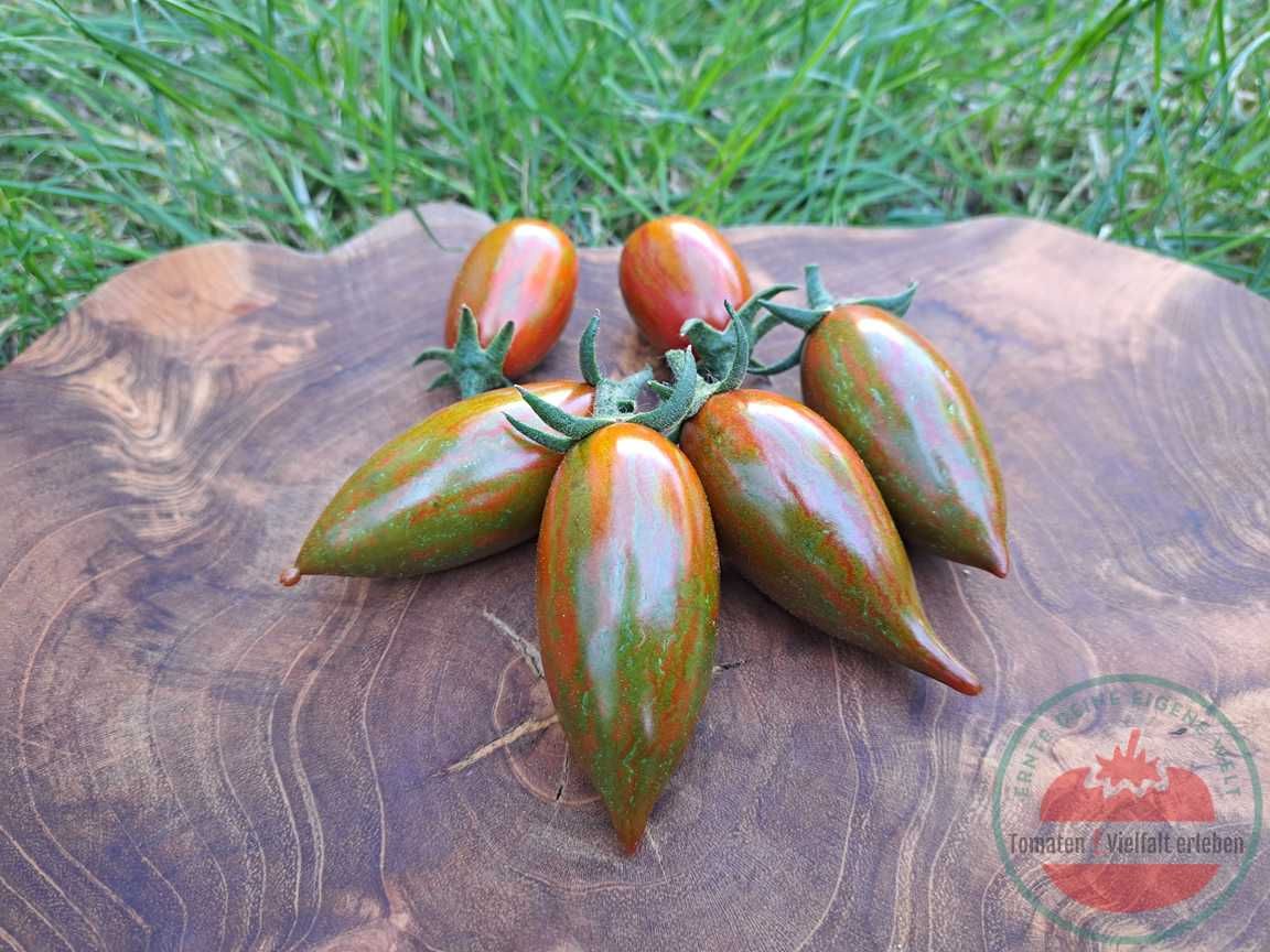 Grün, bräunlich gestreifte längliche Tomate auf einem Holzbrett im Gras. Tomatensorte Zeppelin