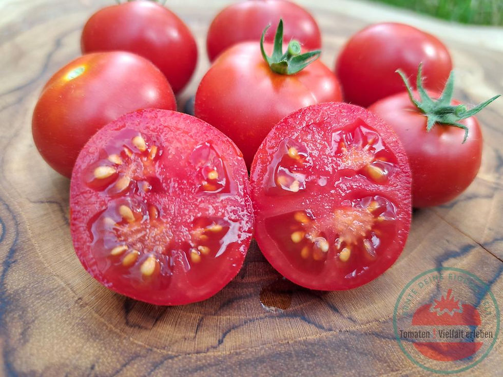 Thumbnail: Rote runde aufgeschnittene Cherrytomate auf einem Holzbrett - Tomatensorte Florida Petit