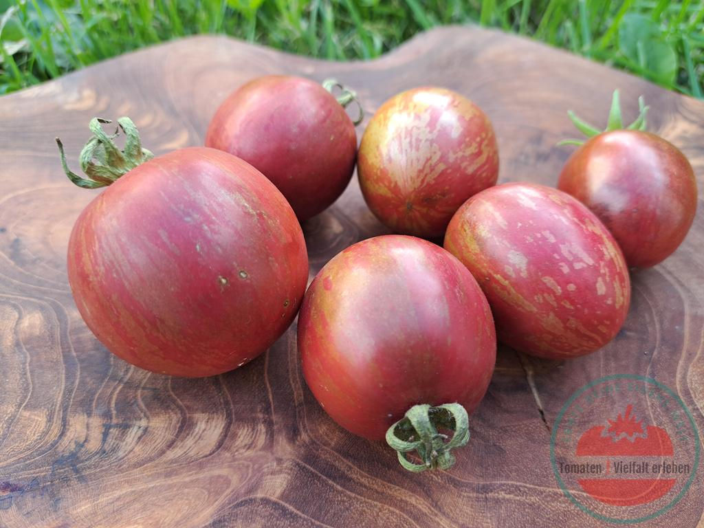 Dunkelrot gelblich-grünlich gestreifte Tomaten auf einem Holzbrett - Tomate Groovy Tunes