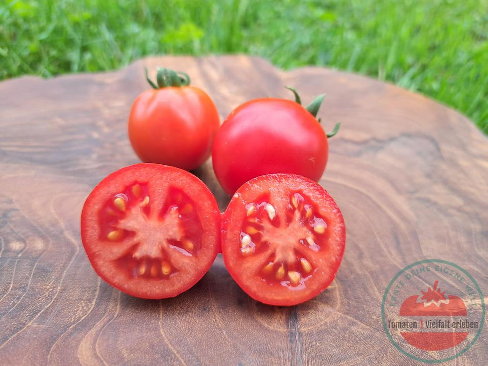 Thumbnail: Aufgeschnittene rote runde Salattomate auf einem Holzbrett - Tomate Renet