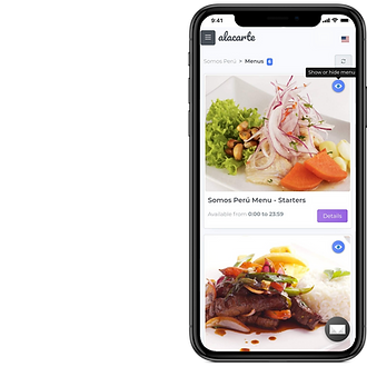Iphone - menu management (segment).png