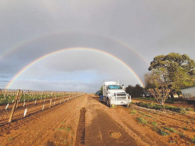 SOMEWHERE OVER THE RAINBOW