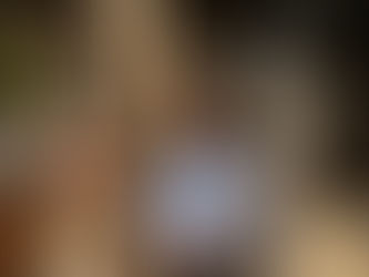 HeyKatZam: Unleashing Laughter and Flavours from Unexpected Places"