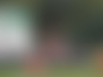 FOOTY AND NETBALL IS BACK!