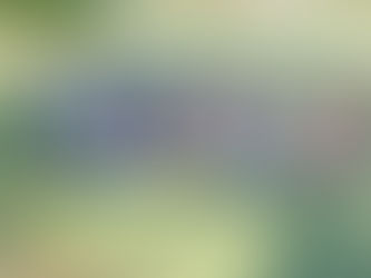 Robinvale College’s Graduating Class