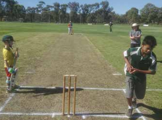 Junior Cricket Continues