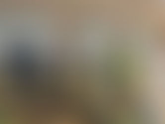 “Green Corners for Children” - A Rotaract Jumeirah Initiative in collaboration with Rotary Jumeirah and Interact club