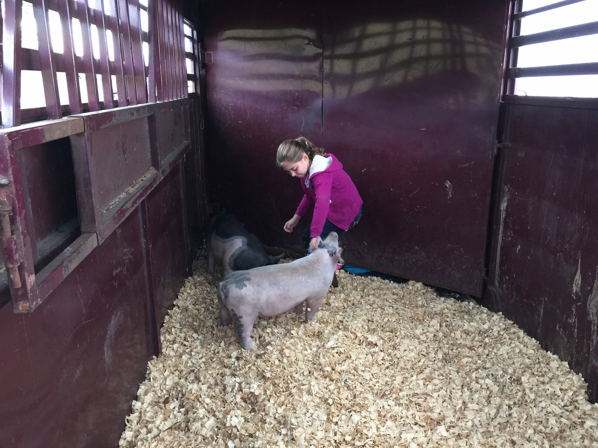 Academy at the Farm 4H