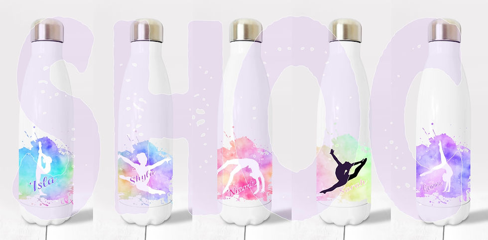 Gymnast Double insulated drinks bottles