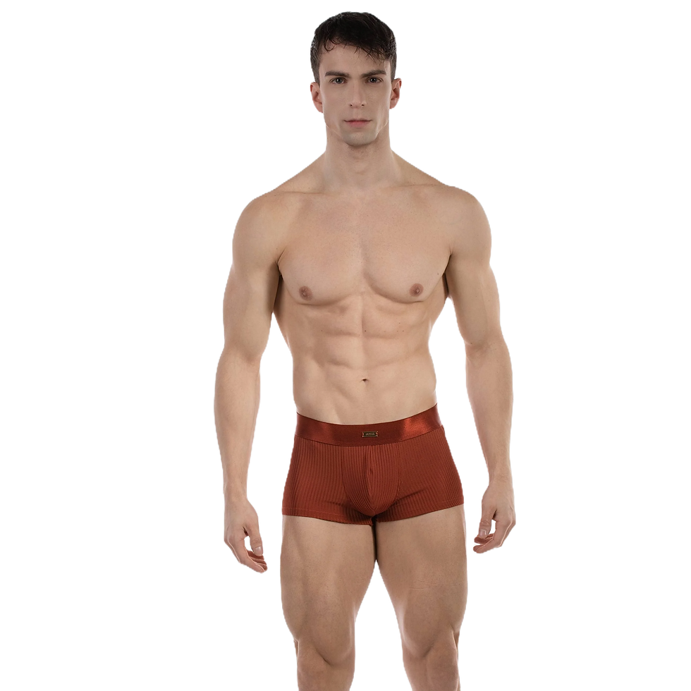 Miniature : Barcode Berlin - Boxer Stellan