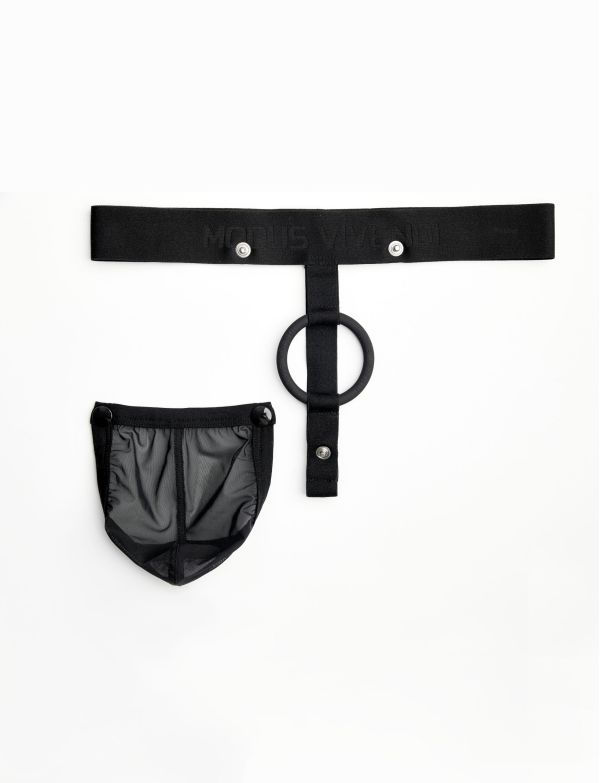 Miniature : Modus Vivendi - String Plaisir C.R