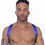 Miniature : Leader - Harnais X Back Bleu