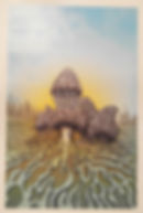 Fantasy Mushrooms Print - Morel Challenge