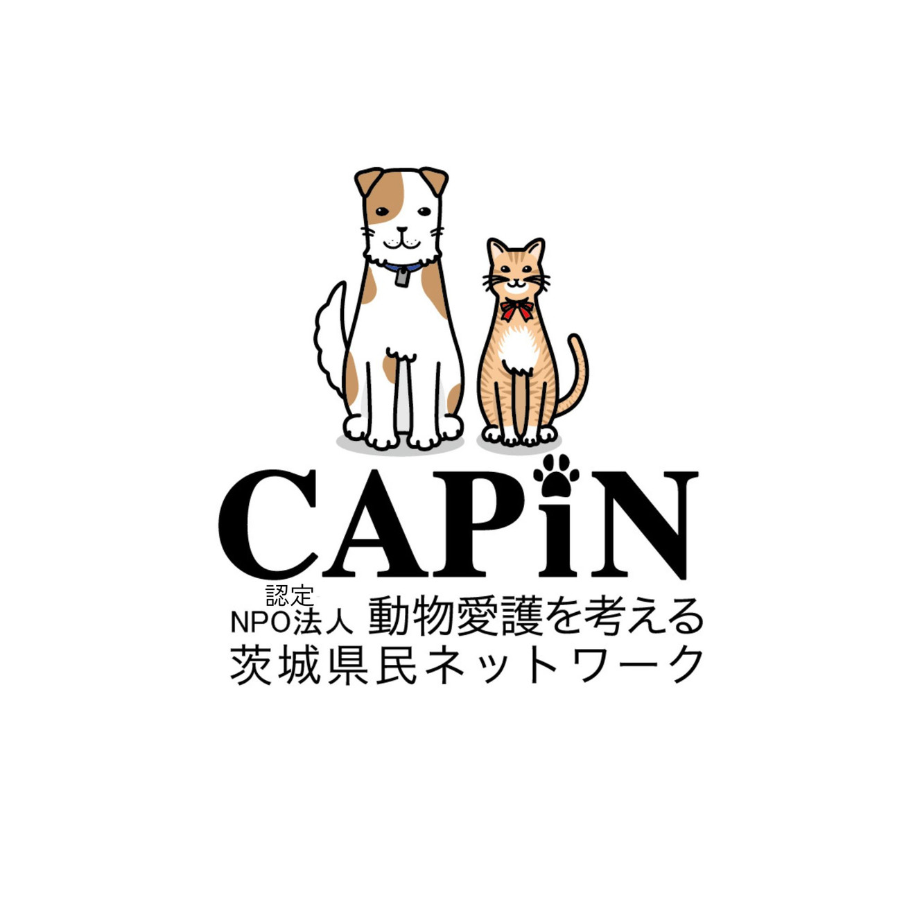 capin web 