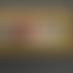 Not Quite One Hundred Horses