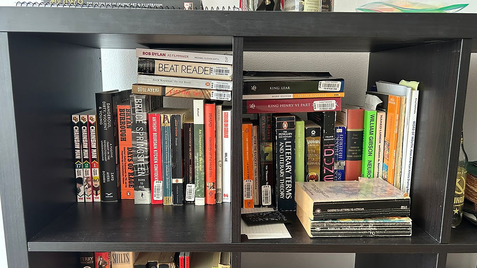 Short Reintroduction to my Bookshelf