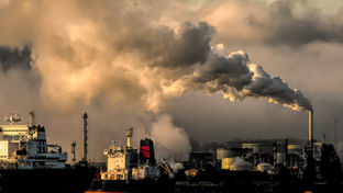 Carbon Power Play: The Fossil Fuel Industry’s Grip On Climate Policy