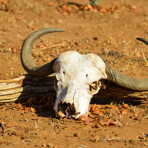 The Disaster Cycle: Drought, The Flood, Then Disease and No Time To Recover