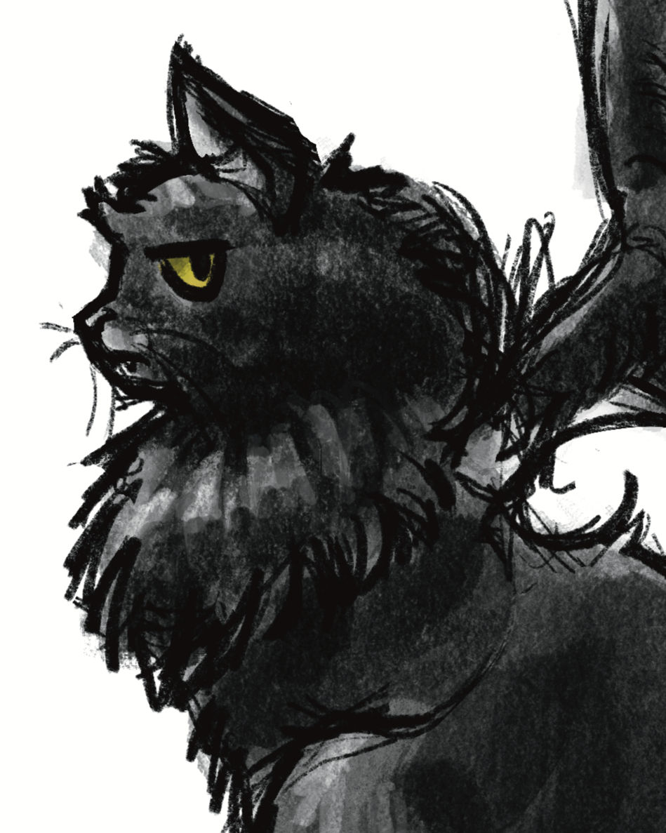 Digital Illustration