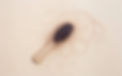 Screenshot 2022-12-22 at 17.35.41.png