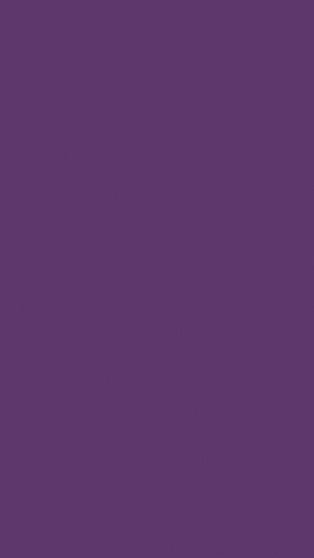 Vision5Steps.gif
