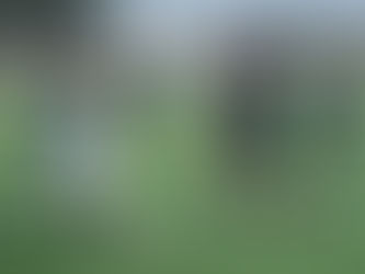 College Prep Men's Soccer Wins League