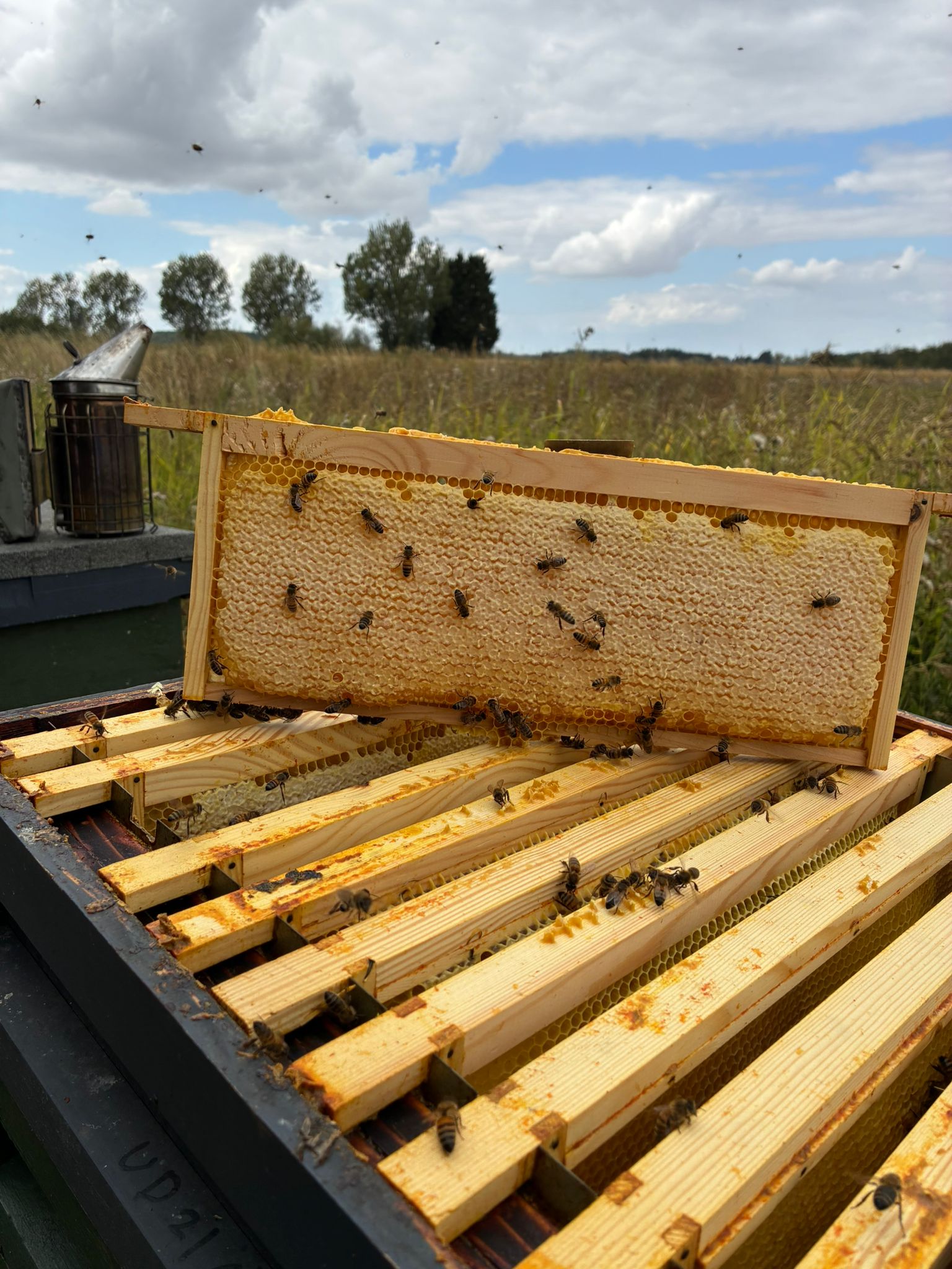 Fully capped honey frame