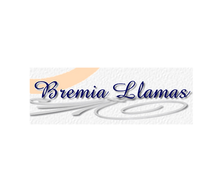 BREMIER.PNG