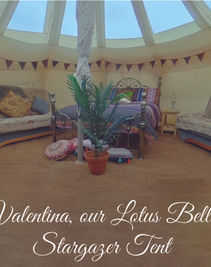 Valentina, the belle tent at Glamping with Llamas