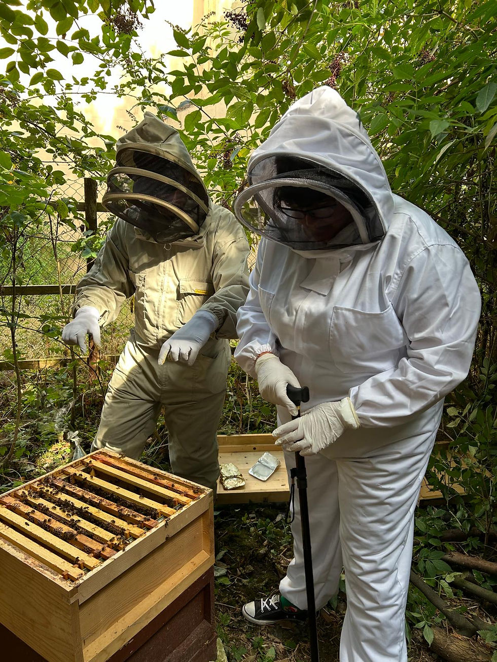 learn about bees tg (6).jpeg