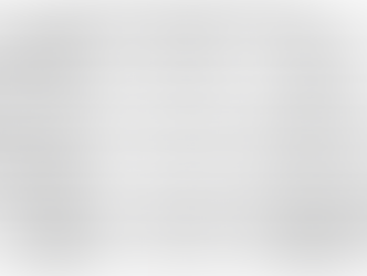 Trial and Appeal Practitioners Study Group Report 2024 — Theme 6 (Trademarks)
