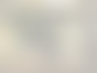 Guide: Senior Housing Assistance. Programs in Kalamazoo County