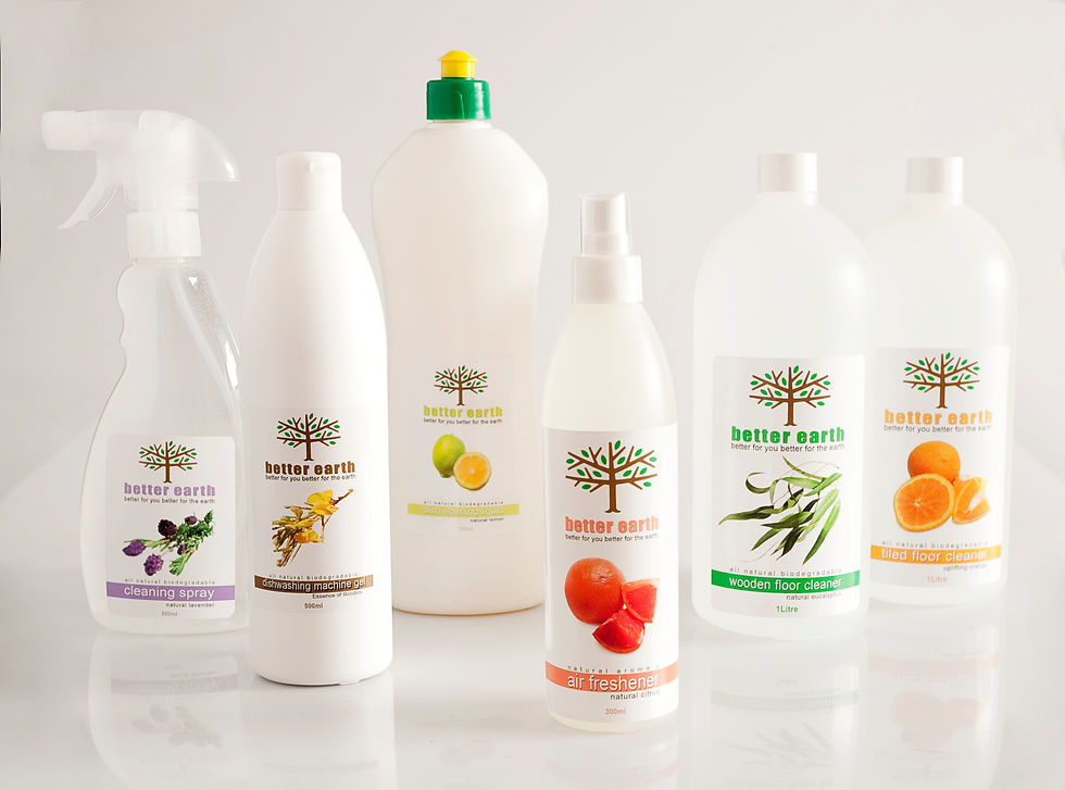 eco friendly cleaning