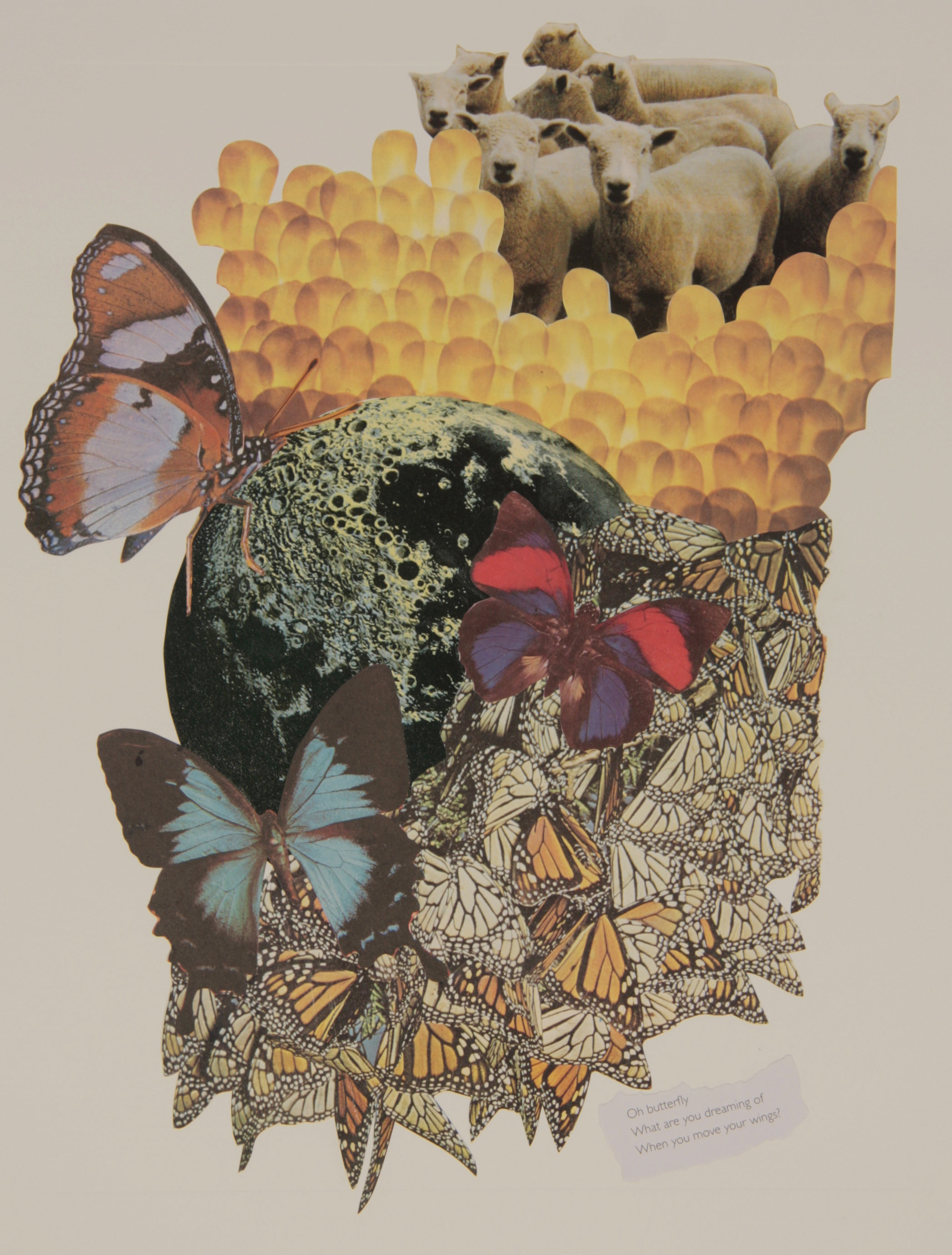 $250 ($300 framed) 48x38cm