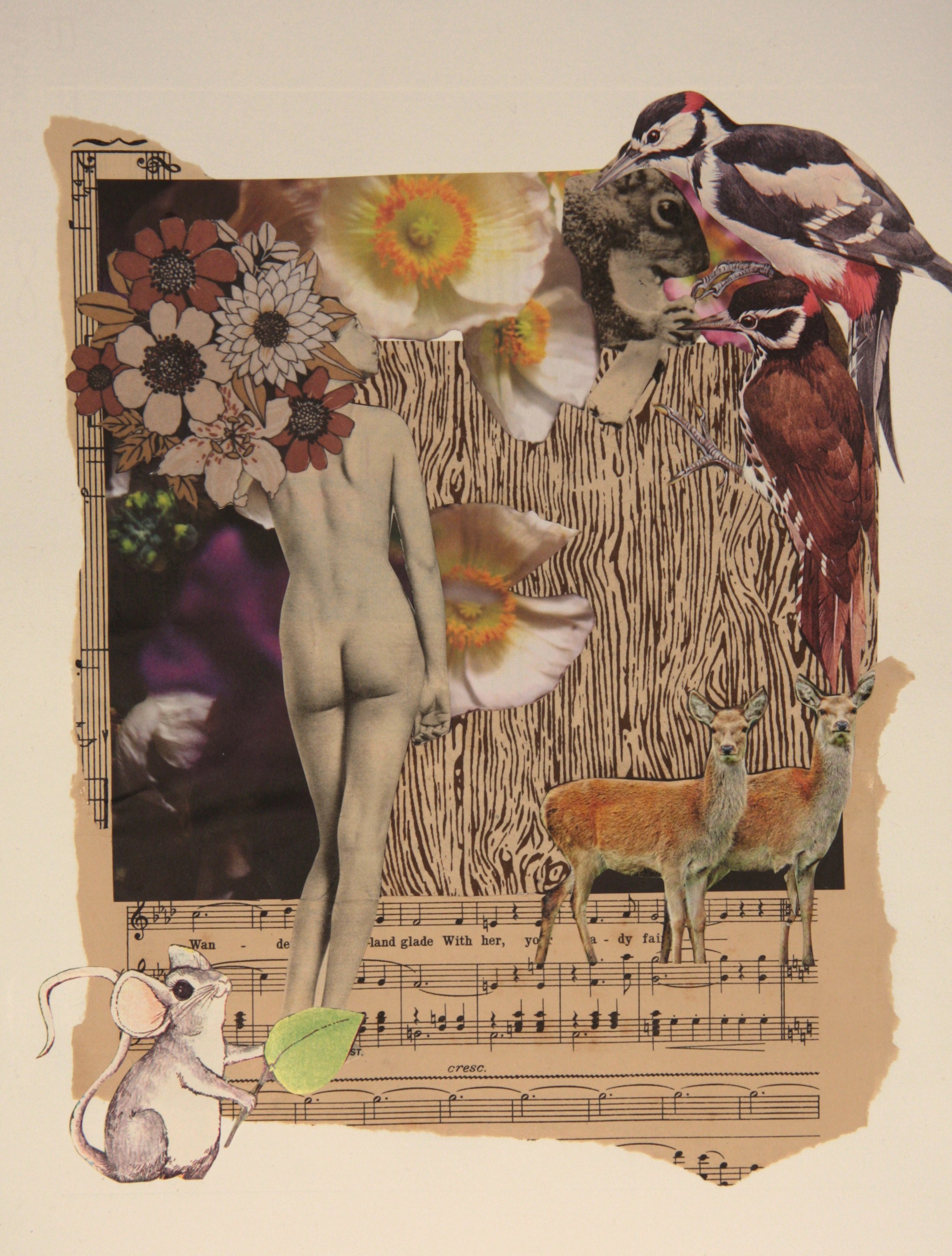 $250 ($300 framed) 48x38cm