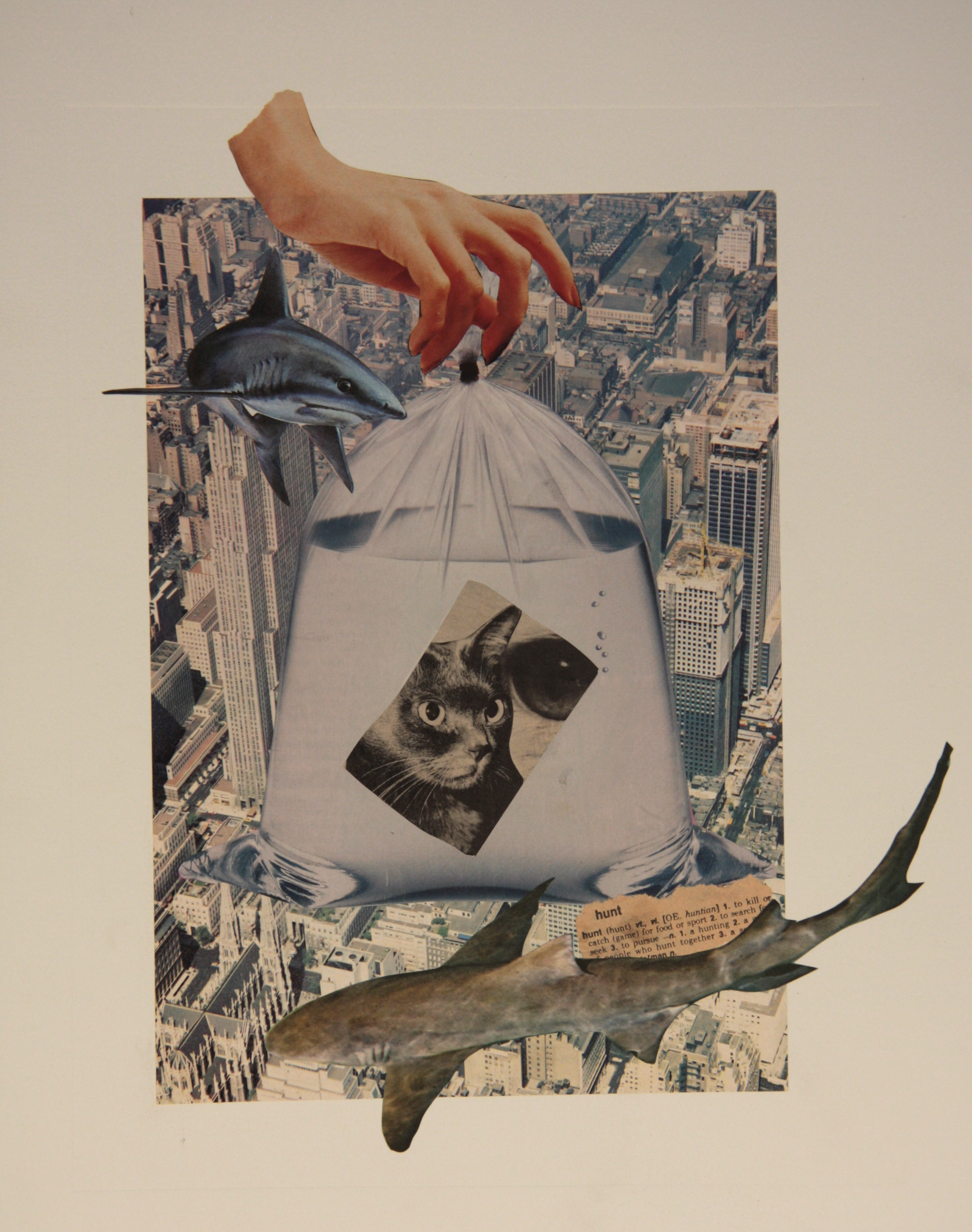 $250 ($300 framed) 48x38cm