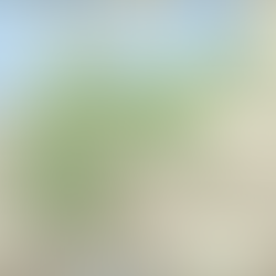 From Inner Turmoil to Social Critique: German Expressionism and the Rise of New Objectivity