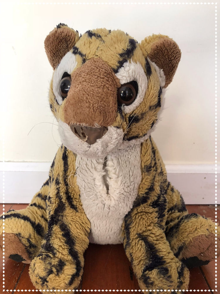 Why, At Nearly 37, I Still Sleep With A Stuffed Animal