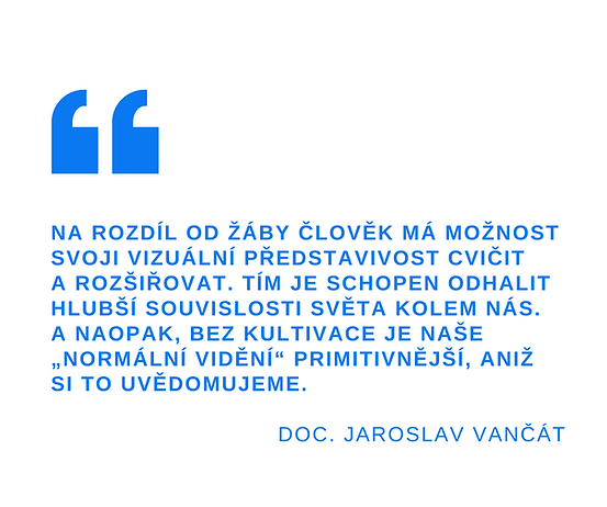 INSEA statusy (7).png