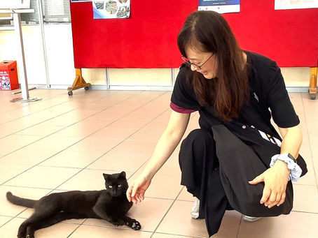 Motoko Matsui