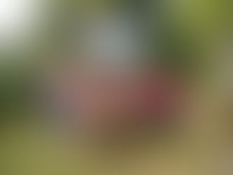 Sortie champignons à Saint-Germain la Montagne (Loire).