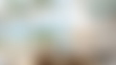 Vacation rental revenue optimization strategies to increase profits.