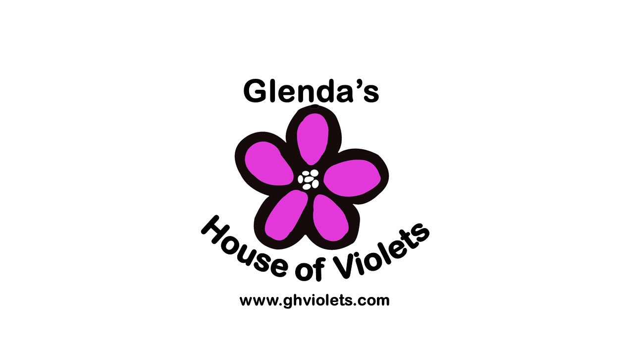 Glenda's House of Violets Gift Card