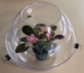 11" x 4.5" Plant Dome-Clear w/3 Clips