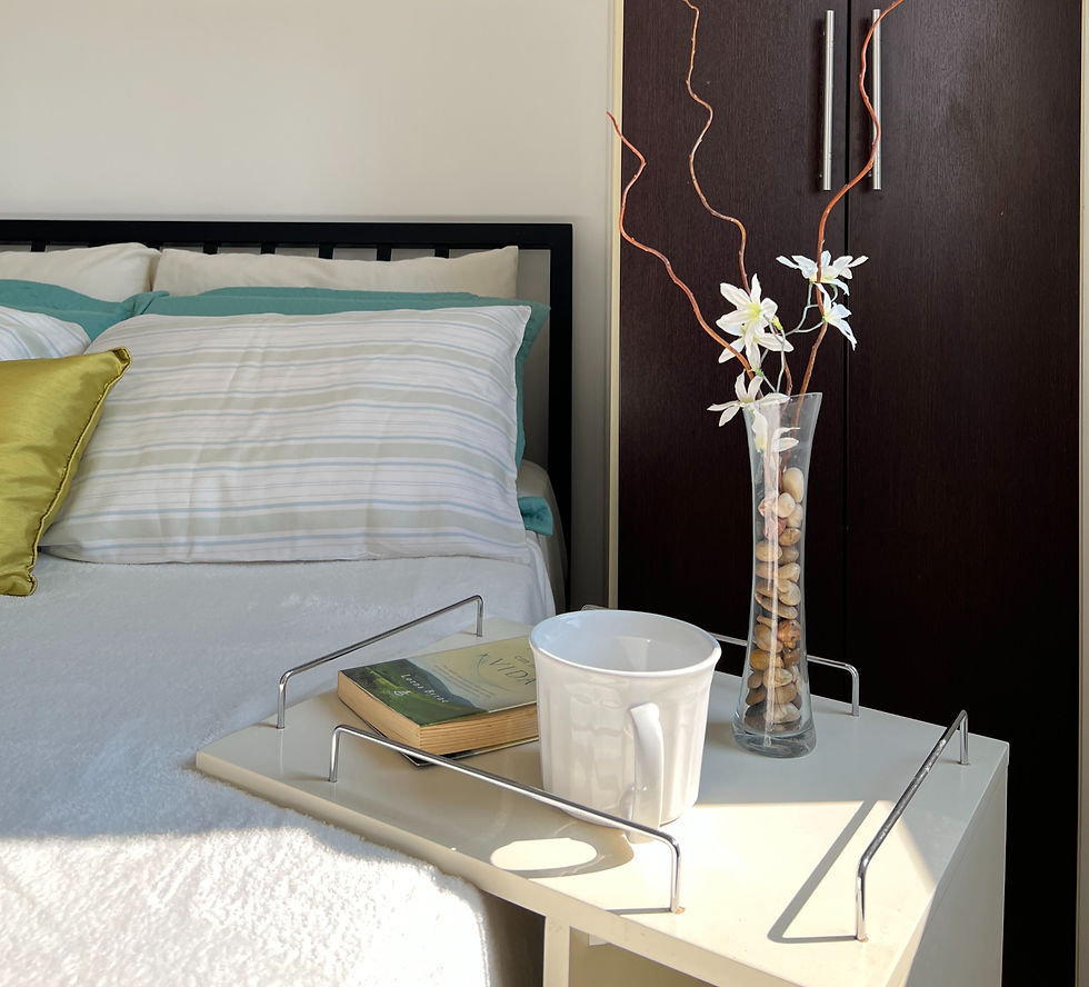 Home Staging para alugar