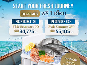 Start Your Fresh Journey with 𝐋𝐞𝐭'𝐬 𝐬𝐞𝐚