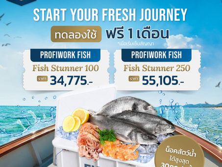 Start Your Fresh Journey with 𝐋𝐞𝐭'𝐬 𝐬𝐞𝐚