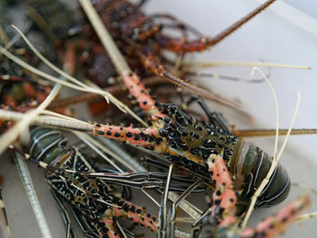 LINE_ALBUM_220128_9_0.jpg