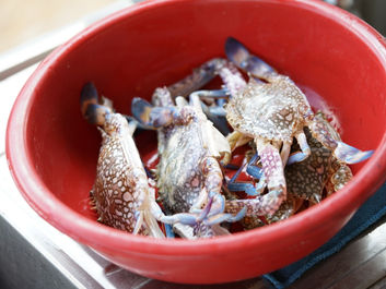 LINE_ALBUM_220128_7.jpg