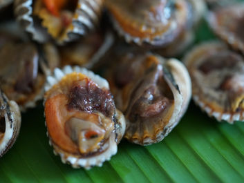 LINE_ALBUM_220128_6.jpg